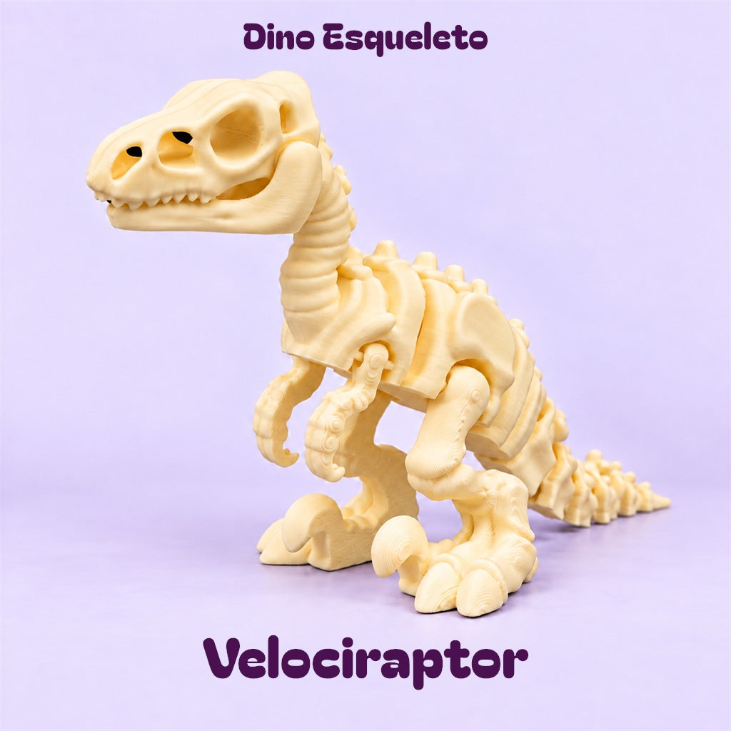 Dino Esqueleto Velociraptor