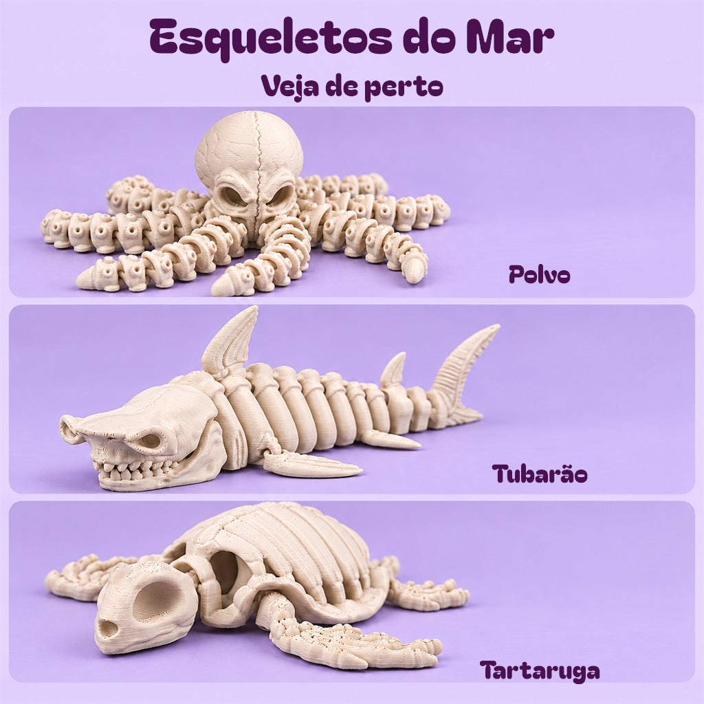 Esqueletos do Mar — detalhes de Polvo, Tubarão e Tartaruga