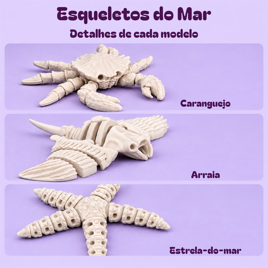 Esqueletos do Mar — detalhes de Caranguejo, Arraia e Estrela-do-mar