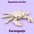 Esqueletos do Mar — Caranguejo