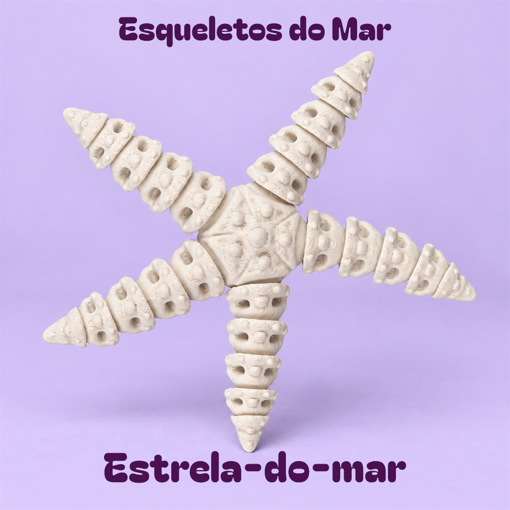 Esqueletos do Mar — Estrela-do-mar