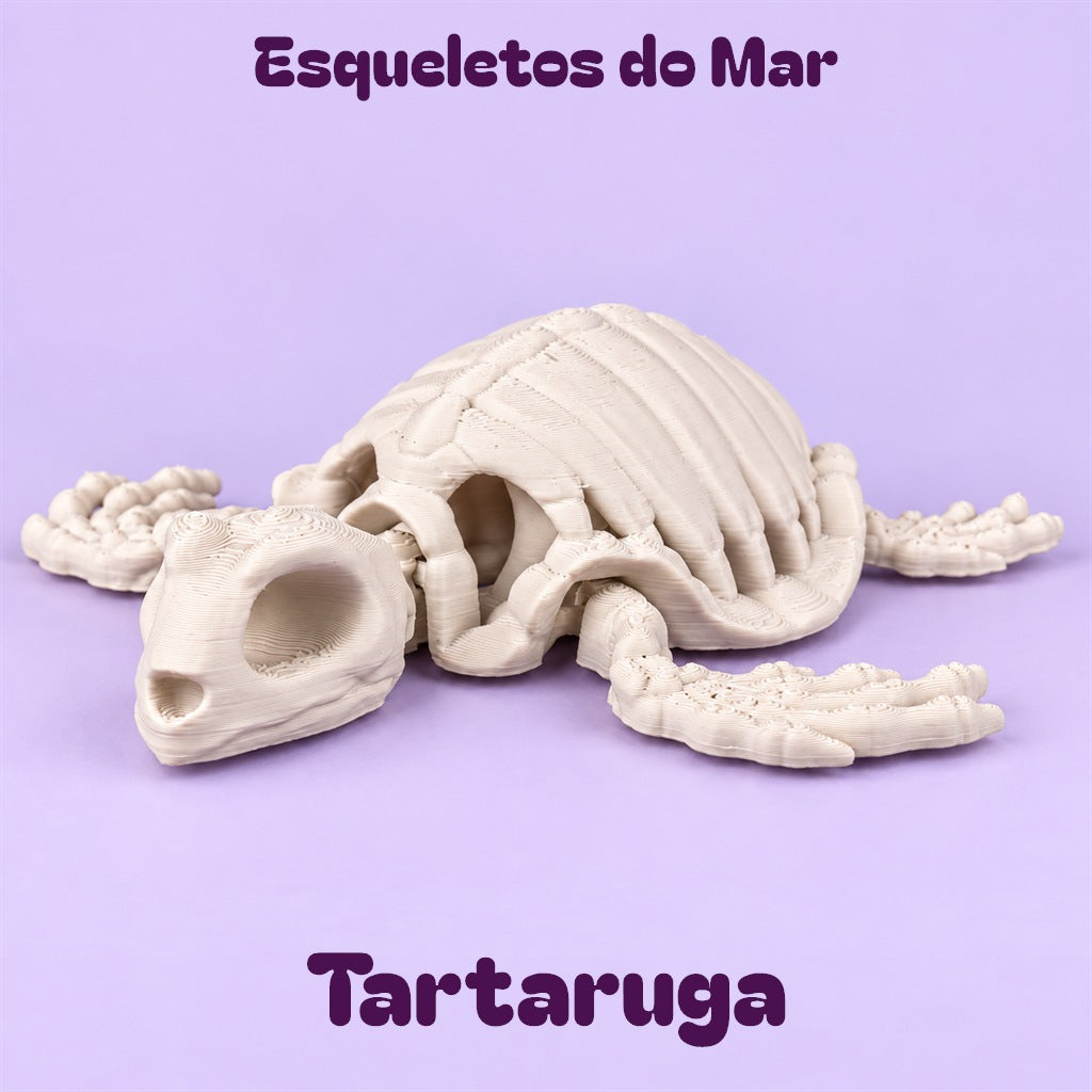 Esqueletos do Mar — Tartaruga