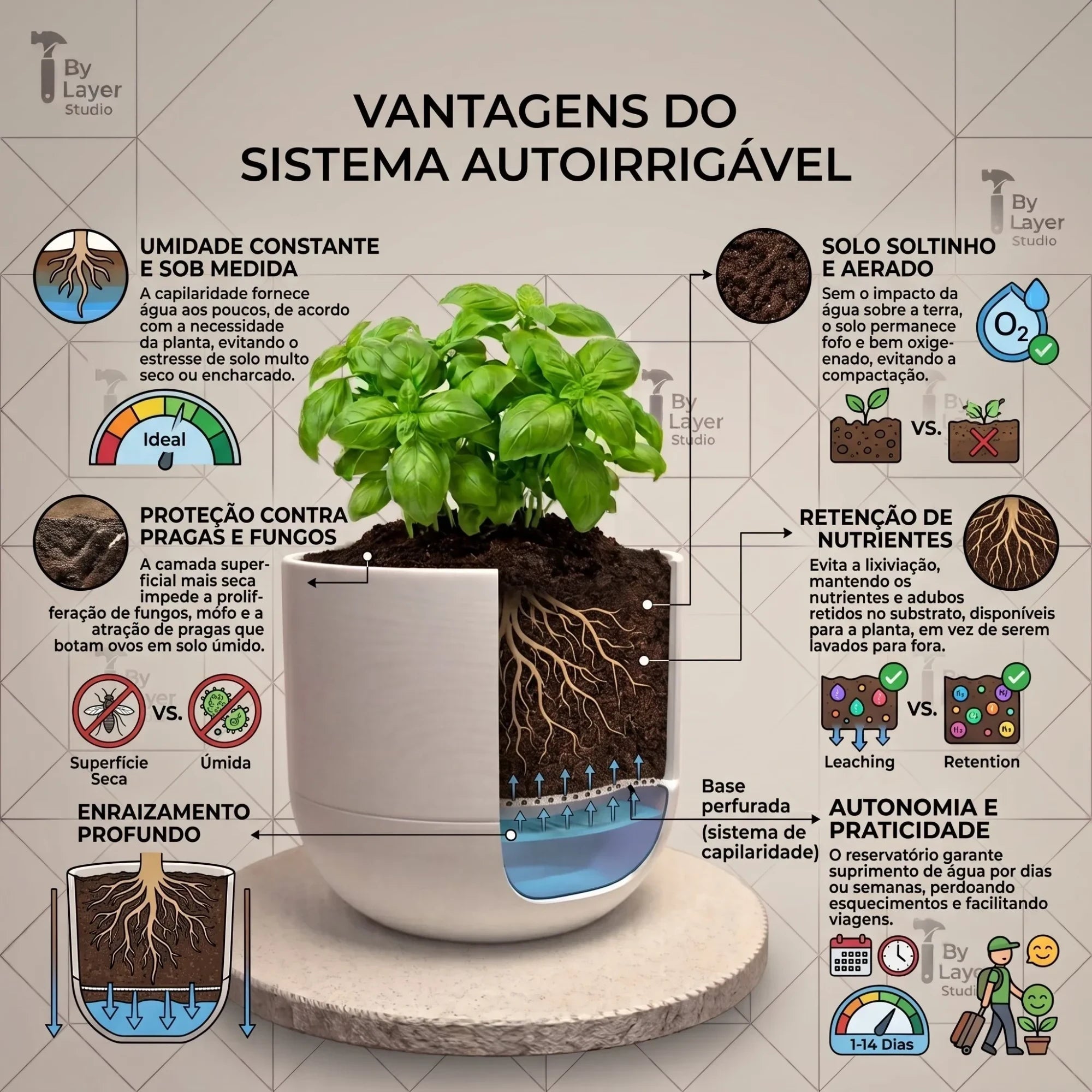 Infográfico Minha loja explicando o funcionamento do vaso cachepô autoirrigável com planta de manjericão em destaque